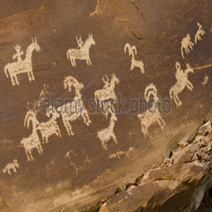 cover image of UTE Indians